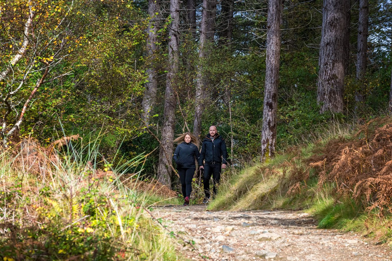 Couple-walking-Ards-Forest-Park,-Co-Donegal_Web-Size-Gareth-Wray-Photography.jpg