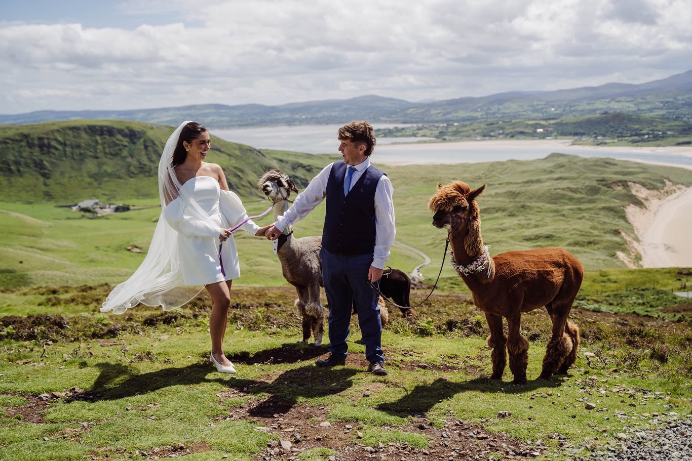Elope-to-Wild-Alpaca-Way-(4).jpg