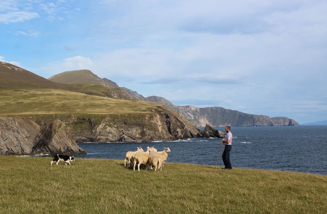 Away to me Sheepdog Trials, Malinbeg, Co. Donegal