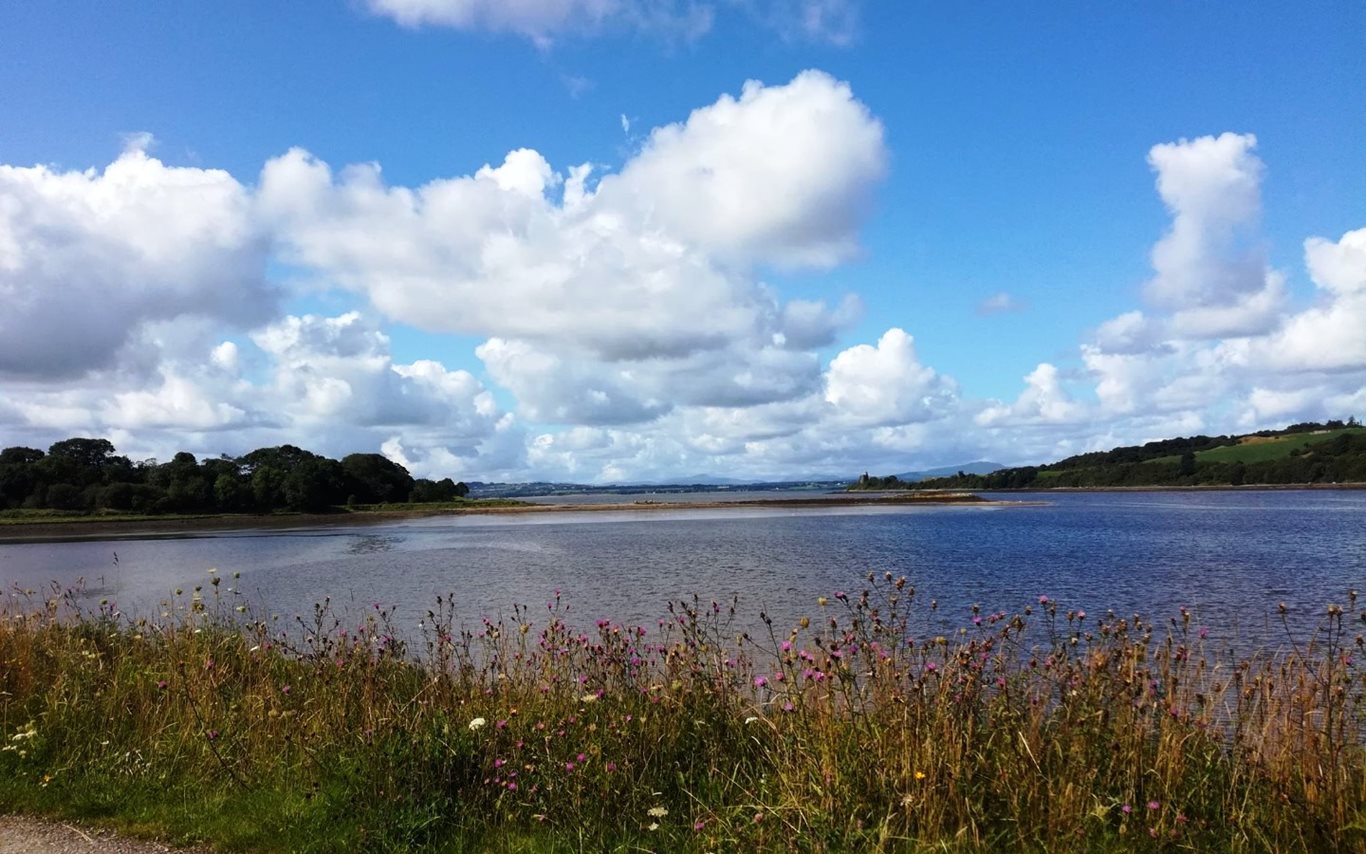 Inch Levels Wildfowl Reserve, County Donegal